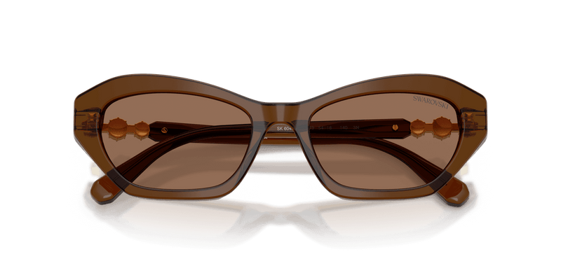 Swarovski SK6048F in Transparent Brown / Dark Brown (108473) - Alternate View