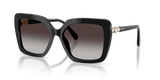 Black / Gradient Grey (10018G)