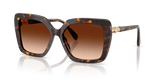 Havana / Brown Gradient (100274)