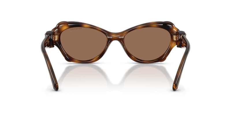 Swarovski SK6050 in Havana / Dark Brown (100273) - Alternate View