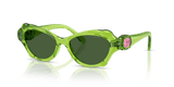 Transparent Green / Dark Green (108971)