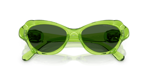 Transparent Green / Dark Green (108971)