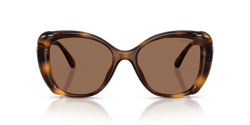 Swarovski SK6051U in Havana / Dark Brown (100273) - Back View