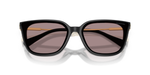 Black / Violet (1001LA)