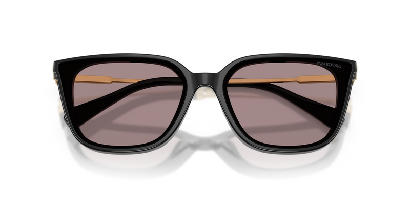 Swarovski SK6054D in Black / Violet (1001LA) - Alternate View