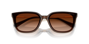 Transparent Brown / Gradient Brown (108474)