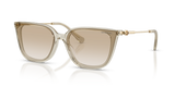 Transparent Beige / Gradient Light Grey (300311)