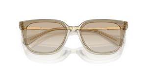 Transparent Beige / Gradient Light Grey (300311)