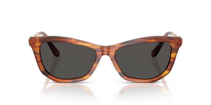 Swarovski SK6057F in Striped Havana / Dark Grey (109187) - Alternate View