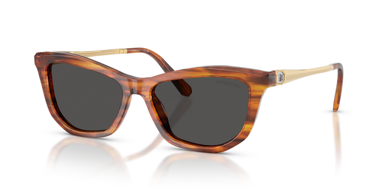 Swarovski SK6057 in Striped Havana / Dark Grey (109187) - Alternate View