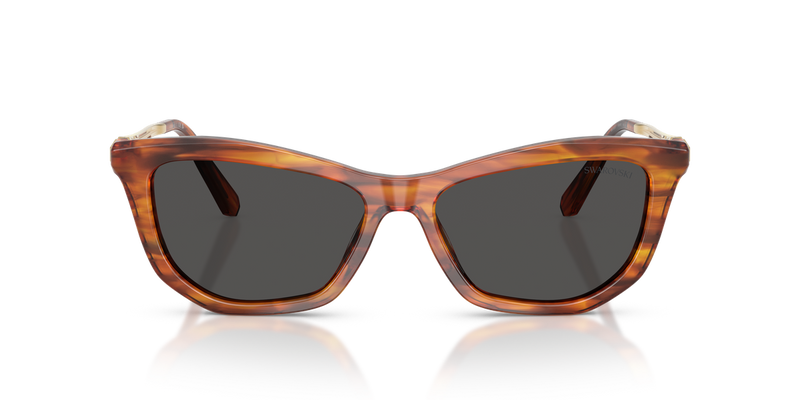Swarovski SK6057 in Striped Havana / Dark Grey (109187) - Alternate View