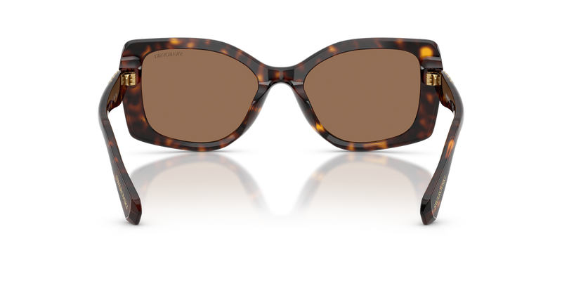 Swarovski SK6058U in Havana / Dark Brown (100273) - Alternate View
