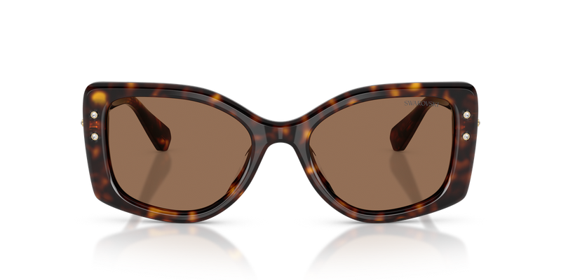 Swarovski SK6058U in Havana / Dark Brown (100273) - Alternate View