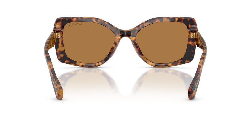 Swarovski SK6058U in Light Havana / Bronze (104073) - Alternate View