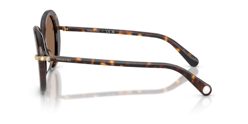 Swarovski SK6059 in Havana / Dark Brown (100273) - Back View