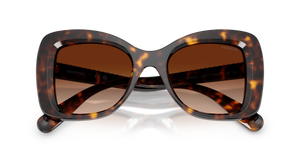 Havana / Gradient Brown (100274)