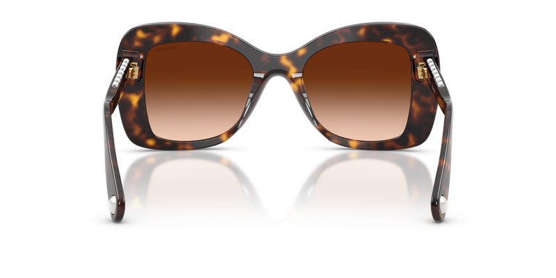 Swarovski SK6062U in Havana / Gradient Brown (100274) - Alternate View