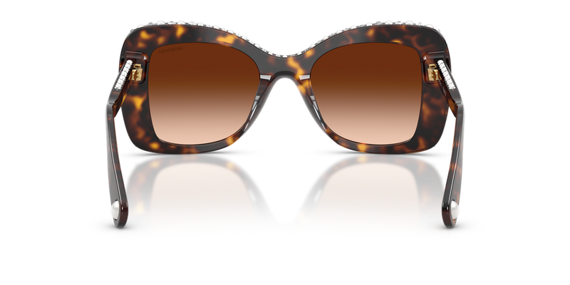 Swarovski SK6062U in Havana / Gradient Brown (109474) - Alternate View