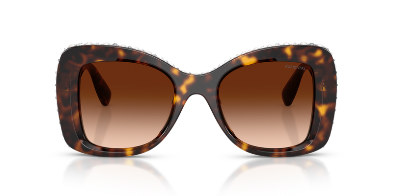 Swarovski SK6062U in Havana / Gradient Brown (109474) - Alternate View
