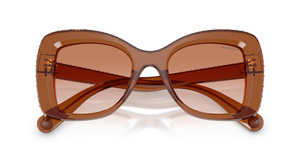 Transparent Brown / Gradient Brown (109573)
