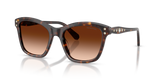 Havana / Gradient Brown (100274)