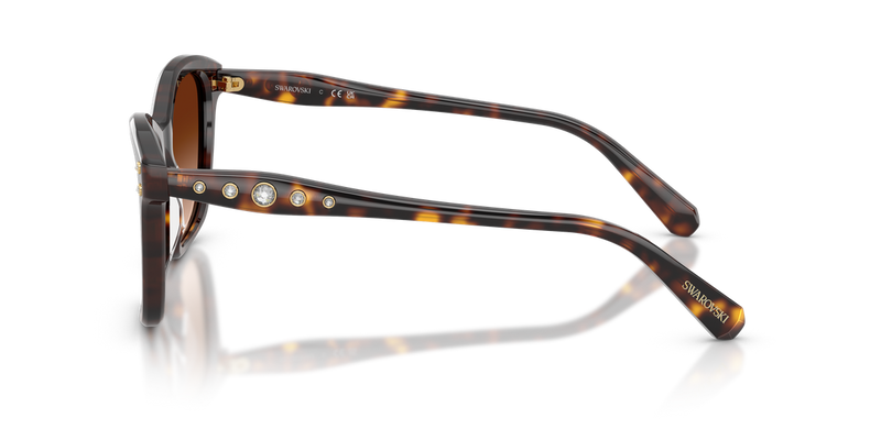 Swarovski SK6063F in Havana / Gradient Brown (100274) - Alternate View