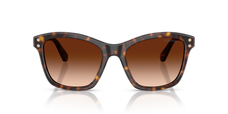 Swarovski SK6063F in Havana / Gradient Brown (100274) - Alternate View