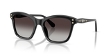 Black / Gradient Grey (10018G)