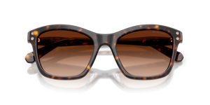 Havana / Gradient Brown (100274)