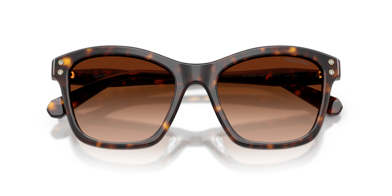 Swarovski SK6063 in Havana / Gradient Brown (100274) - Alternate View