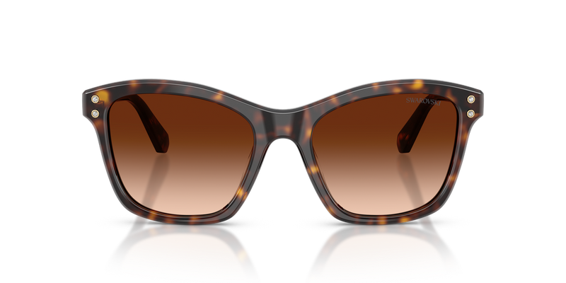 Swarovski SK6063 in Havana / Gradient Brown (100274) - Alternate View