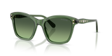Transparent Green / Gradient Green (10852A)