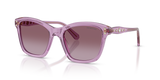 Transparent Amethyst / Violet Gradient (10968H)