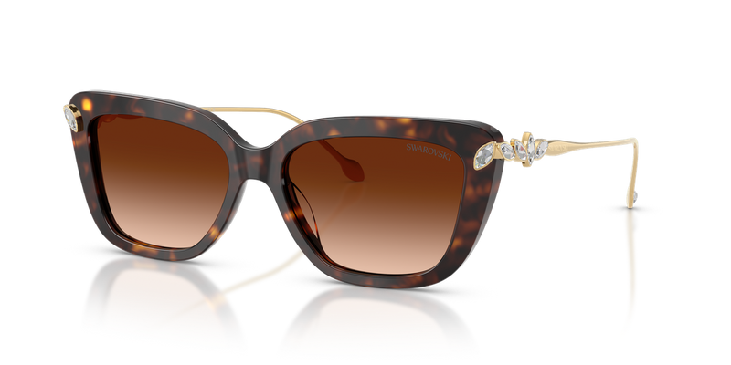 Swarovski SK6065U in Havana - Front View