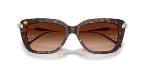 Havana / Gradient Brown (100274)