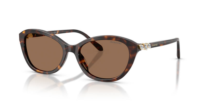 Swarovski SK6066U in Havana - Front View