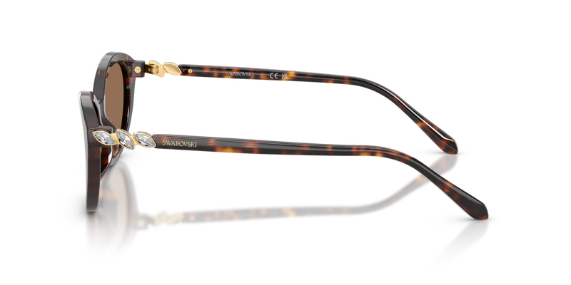 Swarovski SK6066U in Havana - Back View