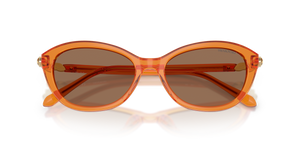 Transparent Orange / Dark Brown (111973)