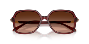 Transparent Burgundy / Pink Gradient Grey (10735M)