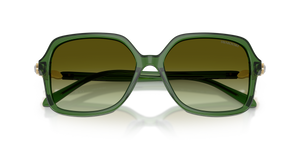 Transparent Green / Green Gradient Brown (1081E8)