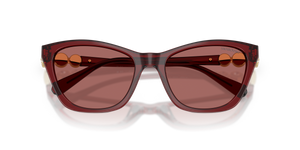 Transparent Burgundy / Dark Violet (107369)