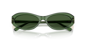 Transparent Green / Dark Green (108571)
