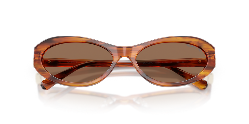 Swarovski SK6069U in Striped Havana - Alternate View