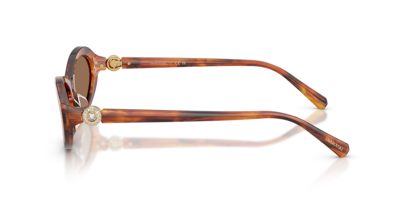 Swarovski SK6069U in Striped Havana - Alternate View