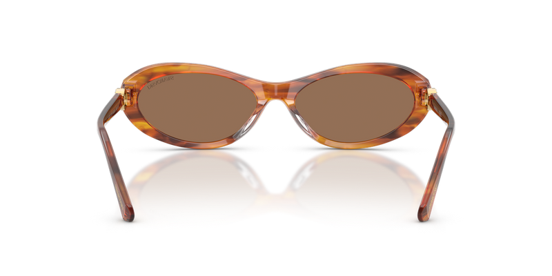 Swarovski SK6069U in Striped Havana - Alternate View