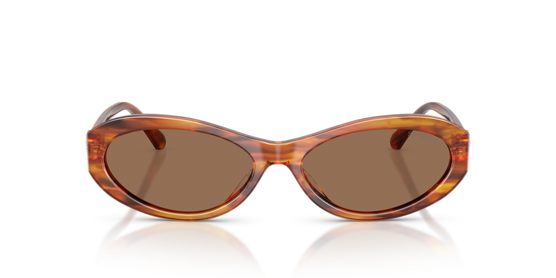 Swarovski SK6069U in Striped Havana - Alternate View