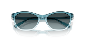 Gradient Transparent Blue / Blue Gradient Grey (1114V1)