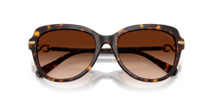Havana / Gradient Brown (100274)