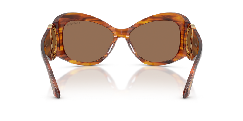 Swarovski SK6074U in Striped Havana - Alternate View