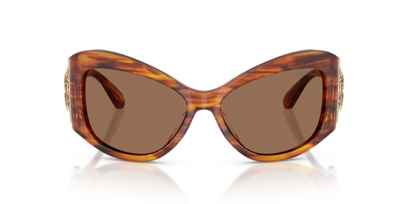 Swarovski SK6074U in Striped Havana - Alternate View